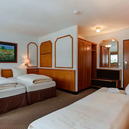 Centro Stern Hotel 3*